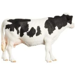 Schleich Holstien Cow 13797 5 Schleich Holstien Cow 13797 -Toys Promotion Store 13797b