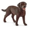 Schleich Labrador Retriever