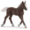 Schleich Black Forest Foal