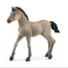 Schleich Criollo Definitivo Foal