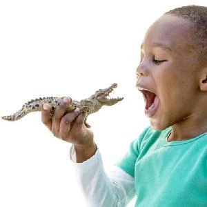 Schleich Crocodile 2 Schleich Crocodile - Image 2