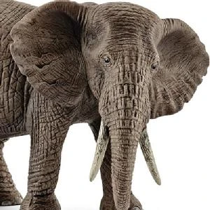 Schleich African Elephant 2 Schleich African Elephant - Image 2