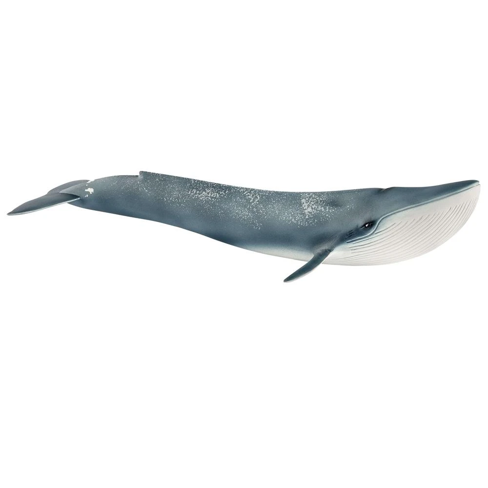 Schleich Blue Whale 1 Schleich Blue Whale