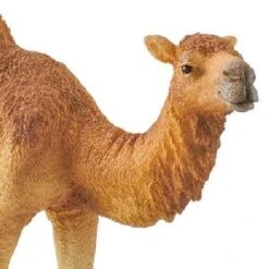 Schleich Dromedary / One Hump Camel -Toys Promotion Store 14832dromedaryb