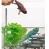 Schleich Chameleon Colour Changing