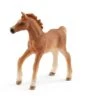 Schleich Foal With Blanket And Girl Boxed 42361