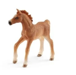 Schleich Foal With Blanket And Girl Boxed 42361