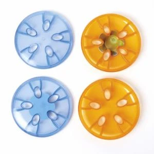 Gonge Jellyfish Stepping Stones 1 Gonge Jellyfish Stepping Stones