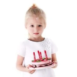 Hape Double Flavored Birthday Cake -Toys Promotion Store doublebirthdaycakeb