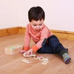Bigjigs Farm Dominoes -Toys Promotion Store farmdominoesb