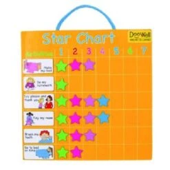 Fiesta Magnetic Star Chart