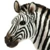 Schleich Zebra